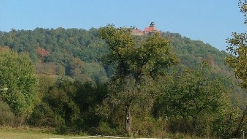 Bäume und Sträucher im Vordergrund, bewaldete Bergkuppe im Hintergrund