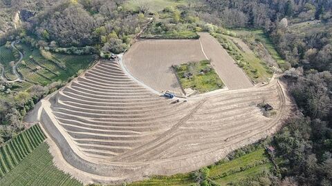 Terrassierter Hügel in einem Waldgebiet