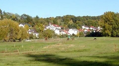 Blick über ein freies Feld, im Hintergrund Bäume und Häuser