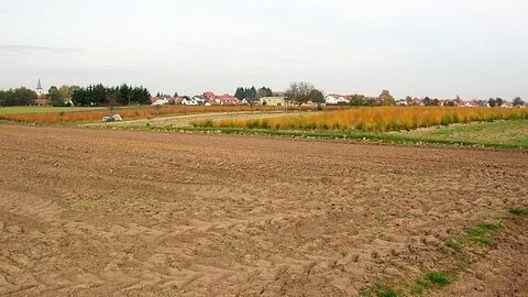 Felder, am Horizont Häuser