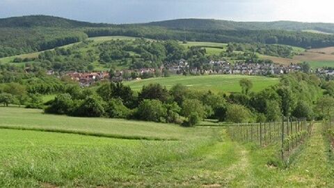 Blick auf Häuser im Tal, im Hintergrund bewaldete Hügel