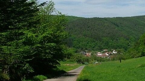 Hirschhorn Langenthal Ein Weg, links davon Bäume, rechts davon Wiese, im Hintergrund Häuser