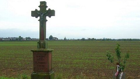 Gernsheim Klein-Rohrheim B44 Steinkreuz vor einem Feld