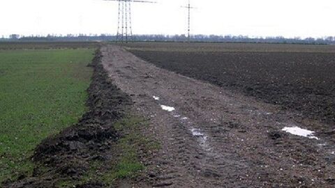 Nasser Feldweg zwischen zwei Äckern, im Hintergrund sieht man Strommasten