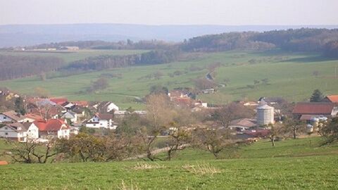 Michelstadt-Steinbuch Häuser in einer Senke, im Hintergrund Hügel und Bäume