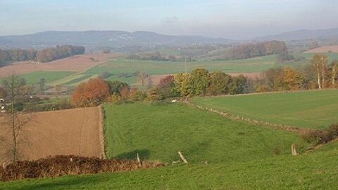 Hügelige Ackerflächen, dazwischen Gehölzstreifen