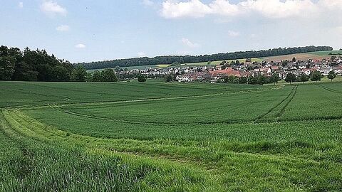 Grüner Feldweg zwischen Äckern, im Hintergrund Häuser