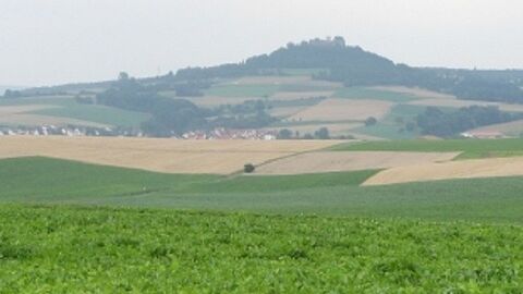 Grüner Acker, dahinter weitere Ackerflächen, im Hintergrund ein bewaldeter Hügel