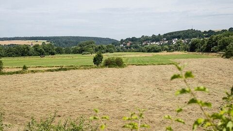 Burghaun - Haune im Vordergrund eine Ackerfläche, im Hintergrund Bäume und Häuser