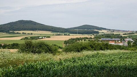 Hügelige Landschaft mit Wiesen, Bäumen und Feldern