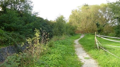 Schmaler Weg durch baumbestandene Felder