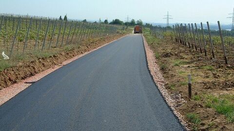 Eltville - Sonnenberg Befestigter Weg durch Weinberg