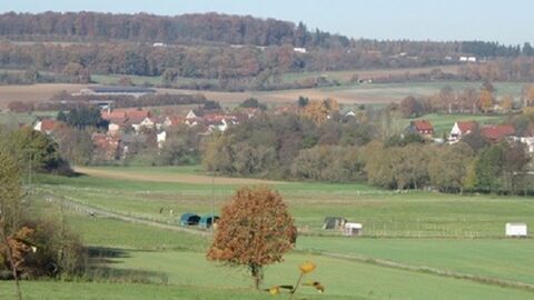 Blick auf ein Dorf, im Vordergrund ein Baum