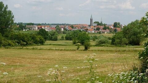 Blick auf ein Dorf, im Vordergrund eine Wiese mit Bäumen