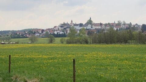 Blick über Wiese auf Dorf