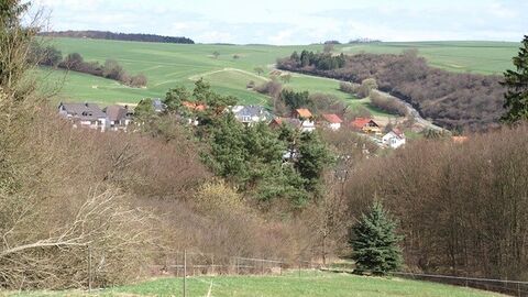 Blick auf Häuser hinter Büschen