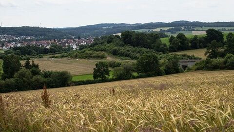 Blick über Acker auf hügelige Landschaft