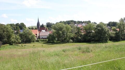 Blick über Wiese auf Dorf hinter Büschen