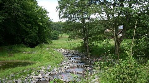 Bachlauf, von Büschen und Bäumen gesäumt