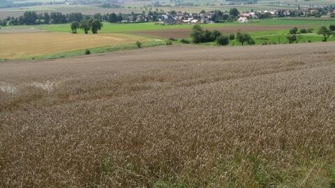 Blick über Felder