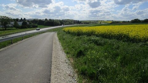 befestigter Feldweg, rechts ein Rapsfeld, links eine Straße