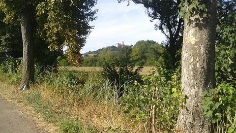 Blick zwischen zwei Bäumen auf eine Burg