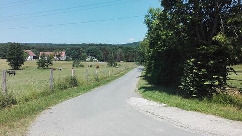 Weg an Wiesen entlang, auf der rechten Seite Bäume
