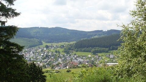 Dietzhölztal-Bergebersbach Blick zwischen Bäumen hindurch auf Dorf