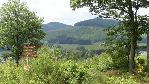 Blick durch Bäume auf bewaldeten Hügel, im linken Vordergrund ein Wegweiser