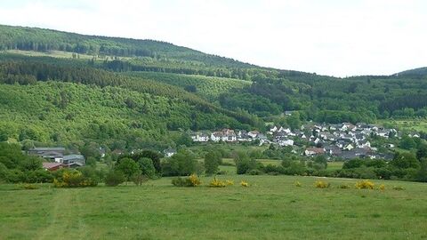 Bewaldeter Hang, davor eine Ortschaft