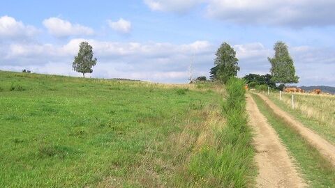 Haiger-Oberroßbach Linke Bildseite Wiese, rechte Bildseite Feldweg