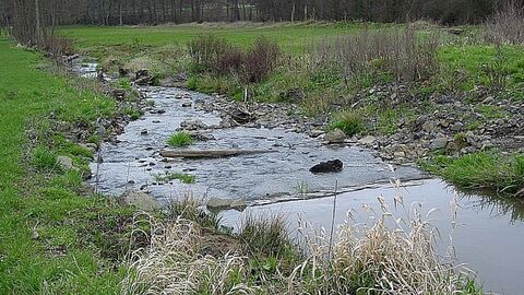 Renaturierter Bachlauf mit jungem Bewuchs am Ufer