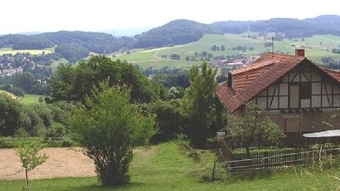 Im Vordergrund ein Baum, rechts dahinter ein Fachwerkhaus