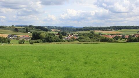 Blick über eine Wiese, im Hintergrund Häuser und Bäume