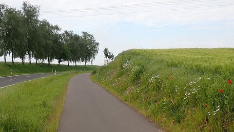 Lich-Birklar Weg neben Straße, rechts davon ein erhöhtes Feld