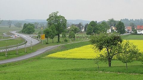 Weg neben einer Straße mit Abzweig, rechts daneben Felder, im Hintergrund Häuser
