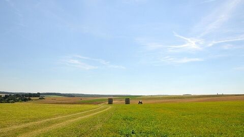 Feldweg läuft im S-Bogen durch grüne Felder, blauer Himmel