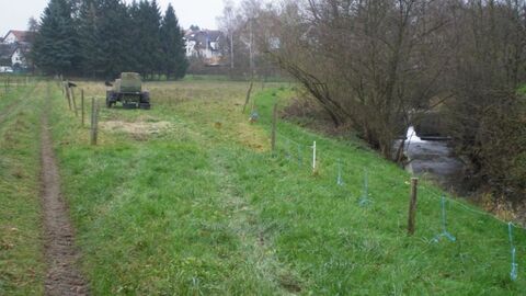 Wiese mit landwirtschaftlichem Anhänger, rechts daneben ein Bach mit Büschen am Ufer