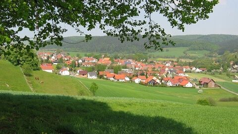 Blick unter einem belaubten Ast über hügelige Felder auf eine Ortschaft 