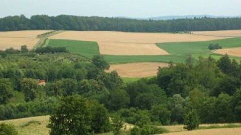 Blick über Felder mit Bäumen im Vorder- und Hintergrund
