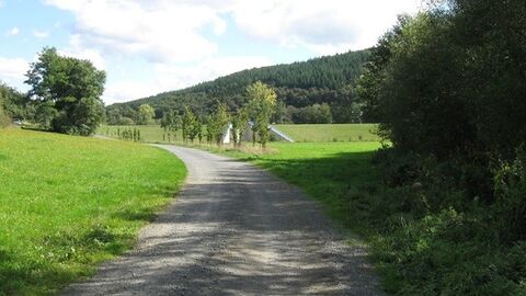 Feldweg an Bäumen vorbei, im Hintergrund Wald