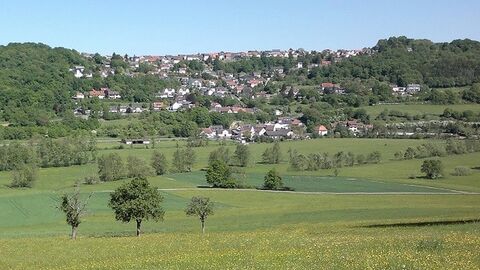 Blick über Felder mit Bäumen auf eine Ortschaft am Hang