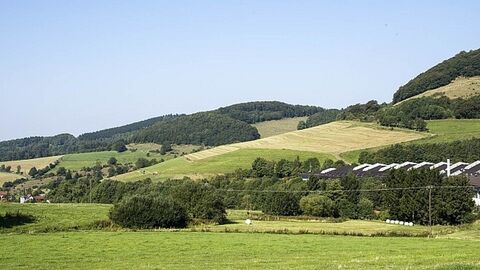 Hügel mit Feldern und Bäumen