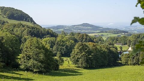 Blick über bewaldete Hügel, rechts ein kleiner See