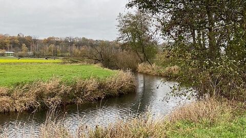 Bachverlauf mit Linkskurve, am Ufer Bäume und Büsche