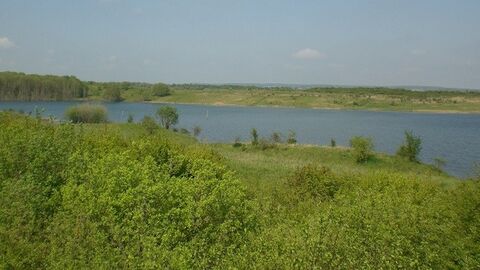 See inmitten einer grünen Landschaft