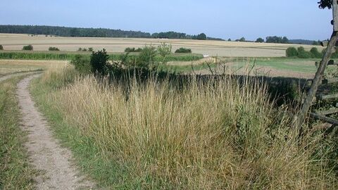 Feldweg in einer leichten Rechtsbiegung, rechts daneben ein Teil eines Hochsitzes, im Hintergrund Felder