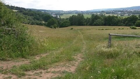 Solms-Niederbiel Feldweg führ abwärts auf Bäume zu, im Hintergrund Ortschaften