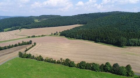 Hügelige Landschaft mit Feldern, Wiesen und Wäldern