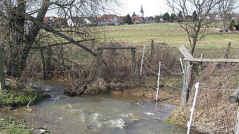 Bachlauf mit verwildertem Zaun, im Hintergrund Häuser